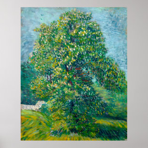 Póster Van Gogh, castaño de caballo en flor, 1887