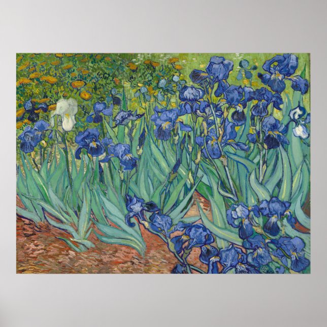 Póster Van Gogh Classic Painting Irises Floral Botánico (Frente)
