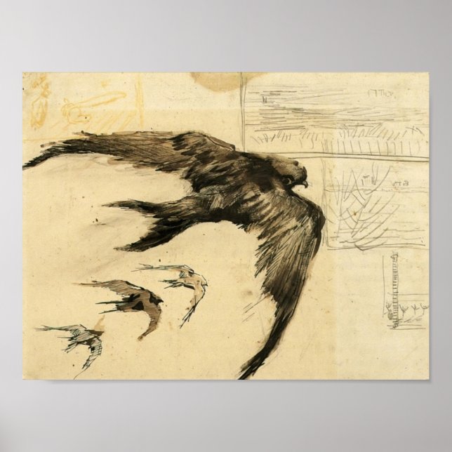 Póster Van Gogh - Cuatro Swifts con dibujos paisajísticos (Frente)