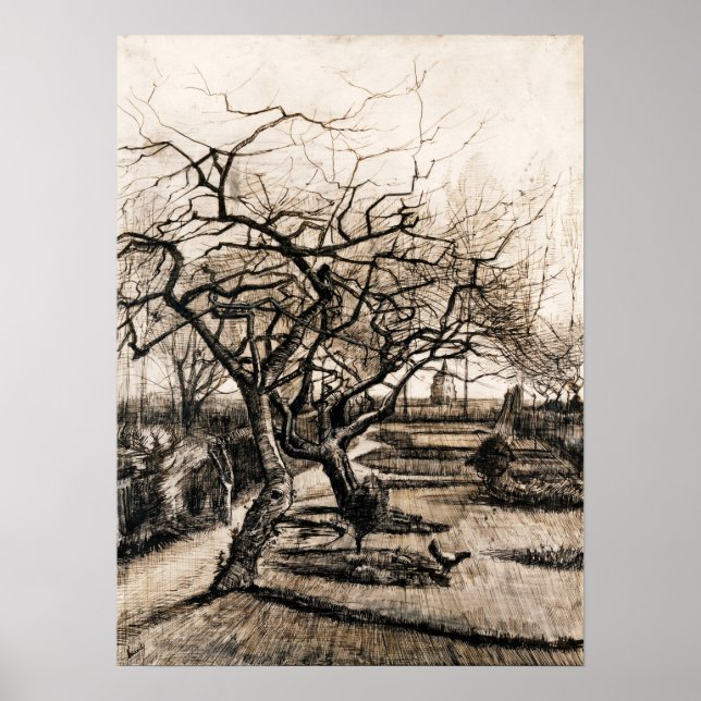 Póster Van Gogh - El Parsonage Garden Nuenen En Invierno (Frente)