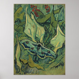 Póster Van Gogh - Emperador Moth