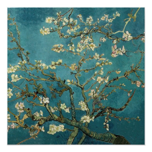 Póster Van Gogh - Floreciente árbol de almendros (Anverso)