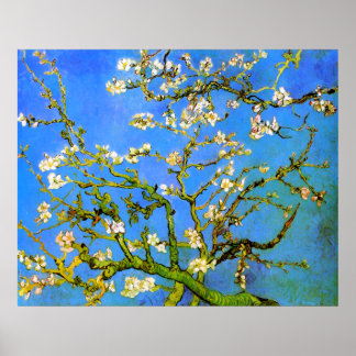 Póster Van Gogh: Florecientes ramas de árbol de almendros