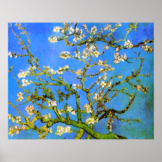 Póster Van Gogh: Florecientes ramas de árbol de almendros (Frente)