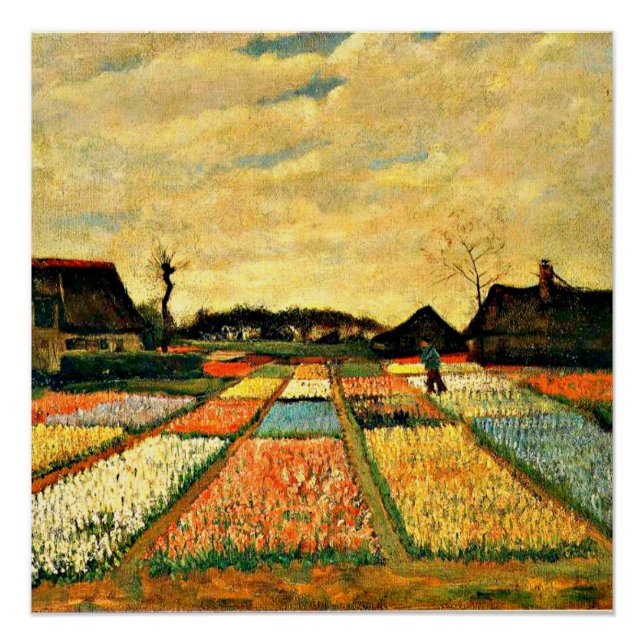 Póster Van Gogh - Flower Beds in Holland (Anverso)