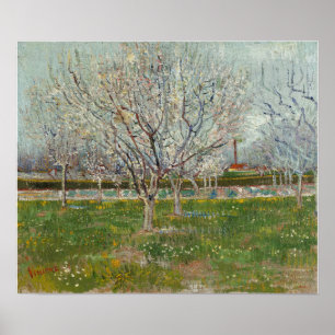Póster Van Gogh - Huerto en Flor (Cerezos en Flor)