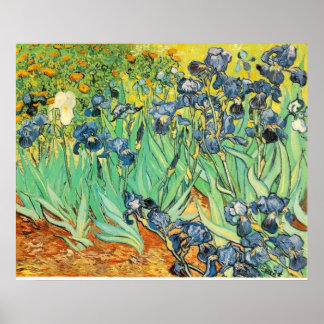Póster Van Gogh Irises