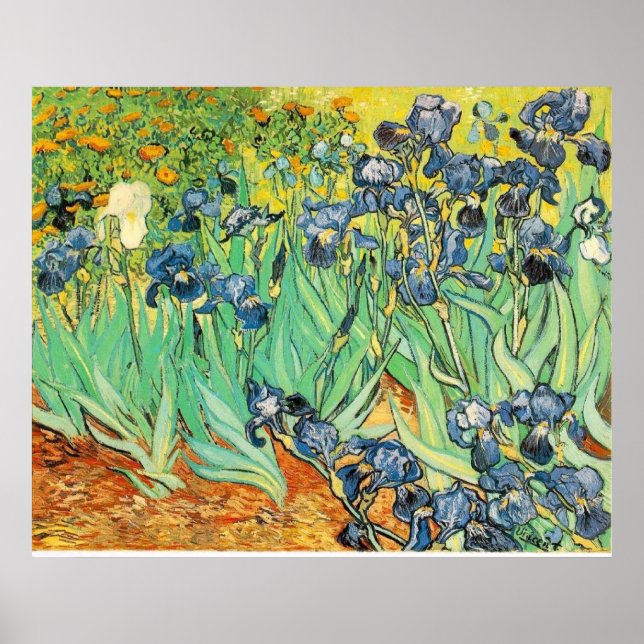 Póster Van Gogh Irises (Frente)