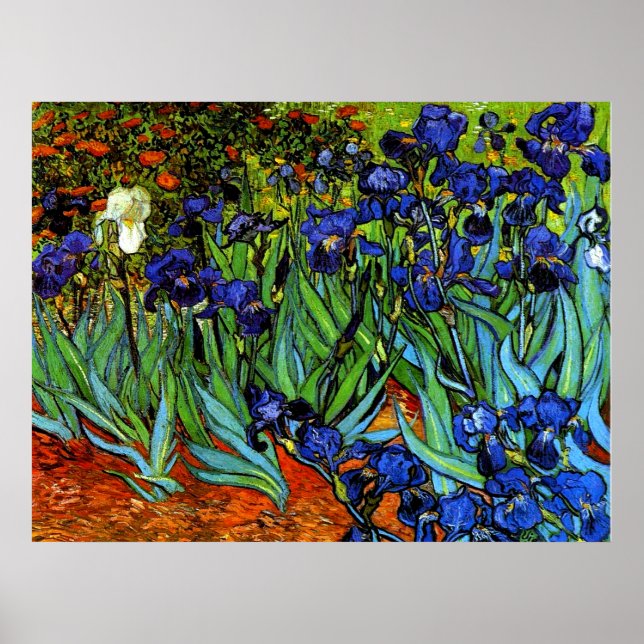 Póster Van Gogh - Irises (Frente)