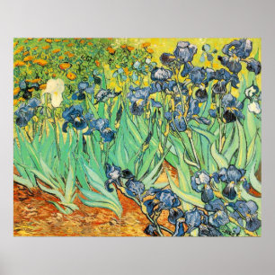 Póster Van Gogh Irises