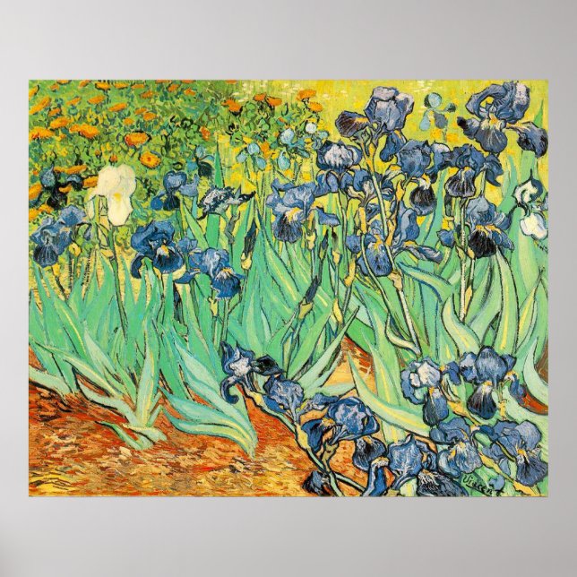 Póster Van Gogh Irises (Frente)