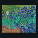 Póster van Gogh - Irises (1889)<br><div class="desc">En mayo de 1889, tras episodios de automutilación y hospitalización, Vincent van Gogh decidió solicitar asilo en Saint-Rémy (Francia). Allí, el año anterior a su muerte, creó casi 130 pinturas. En la primera semana, comenzó a trabajar en irlandeses, desde la naturaleza, en el jardín del asilo. La composición recortada, dividida...</div>