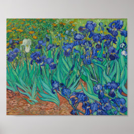 Póster van Gogh - Irises (1889)