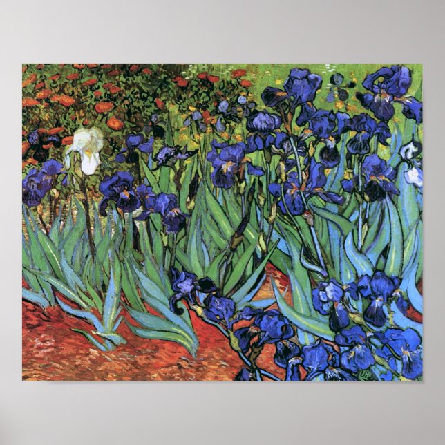 Póster Van Gogh Irises (F608) Bella Artes de cosecha (Frente)