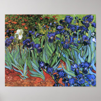 Póster Van Gogh Irises (F608) Bella Artes de cosecha