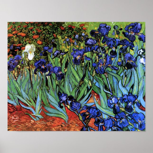 Póster Van Gogh Irises (F608) Bella Artes de cosecha (Frente)