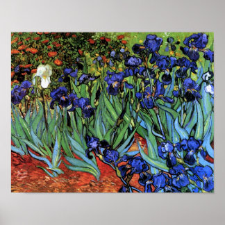 Póster Van Gogh Irises (F608) Bella Artes de cosecha