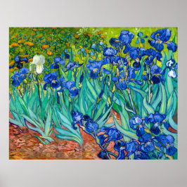 Póster Van Gogh, Irises, Les Iris, 1889