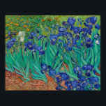 Póster Van Gogh Irises Pintura Floral<br><div class="desc">Vincent Van Gogh (30 de marzo de 1853 a 29 de julio de 1890) fue un influyente pintor holandés posimpresionista. Esta obra de arte se llama Irises.</div>