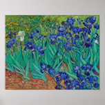 Póster Van Gogh Irises Pintura Floral<br><div class="desc">Vincent Van Gogh (30 de marzo de 1853 a 29 de julio de 1890) fue un influyente pintor holandés posimpresionista. Esta obra de arte se llama Irises.</div>