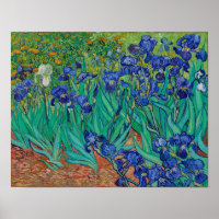 Van Gogh Irises Pintura Floral
