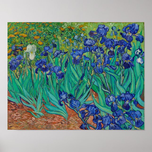 Póster Van Gogh Irises Pintura Floral (Frente)