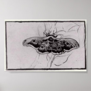 Póster Van Gogh - La polilla de la cabeza de la muerte