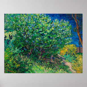 Póster Van Gogh - Lilac Bush