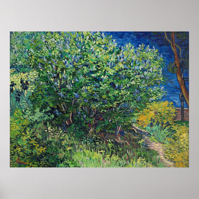 Póster Van Gogh - Lilac Bush (Frente)