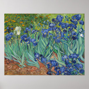 Póster Van Gogh - Lirios