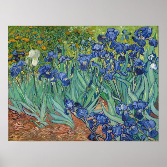 Póster Van Gogh - Lirios (Frente)