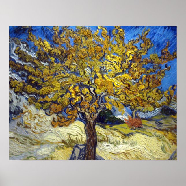 Póster Van Gogh Mulberry Tree Impresionsionist Art (Frente)