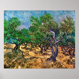 Póster Van Gogh - Olivar