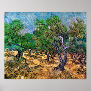 Póster Van Gogh - Olive Grove