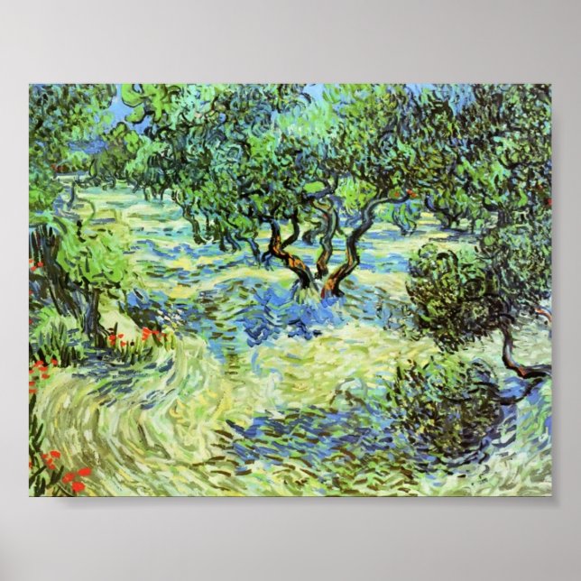 Póster Van Gogh - Olive Grove - Bright Blue Sky (Frente)