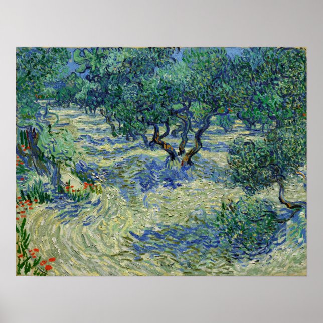 Póster Van Gogh - Olive Orchard (Frente)
