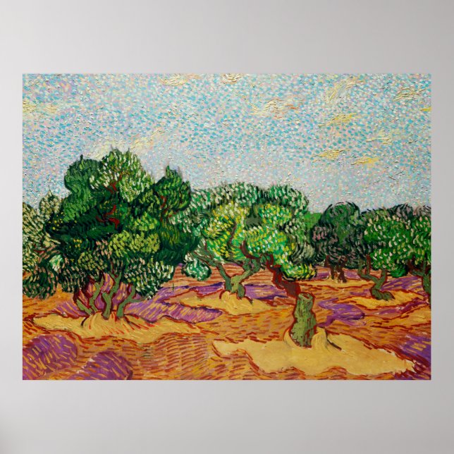 Póster Van Gogh - Olive Trees,  (Frente)