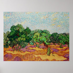 Póster Van Gogh - Olivos,