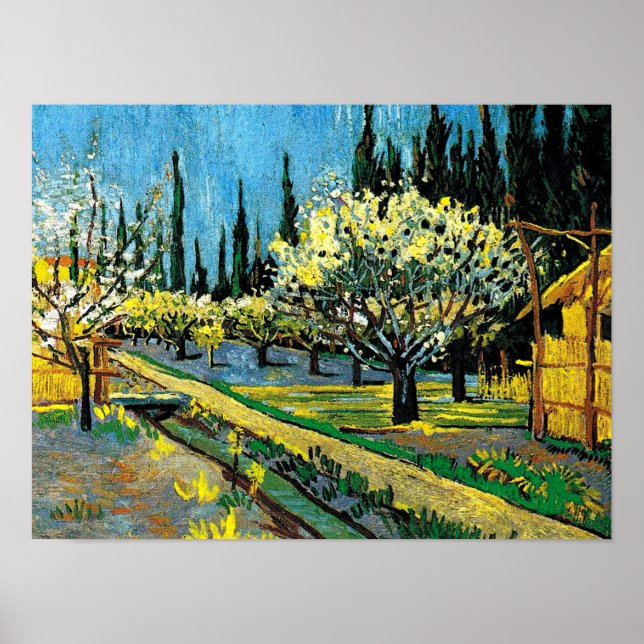 Póster van gogh - Orchard florido (Frente)