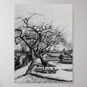 Póster Van Gogh - Parsonage Garden