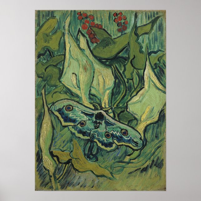 Póster Van Gogh - Polilla Emperador (Frente)
