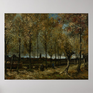 Póster Van Gogh - Poplars Near Nuenen