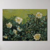 Van Gogh - Rosas salvajes