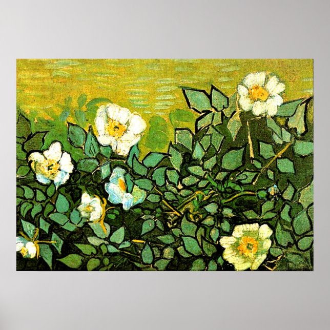 Póster Van Gogh - Rosas salvajes, pintura floral Van Gogh (Frente)