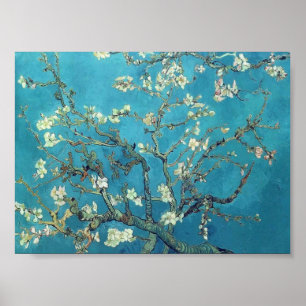 Póster Van Gogh - Sucursales con flores de almendra