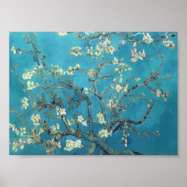 Póster Van Gogh - Sucursales con flores de almendra (Frente)