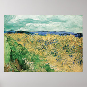 Póster Van Gogh - Wheatfield Con Cornflowers