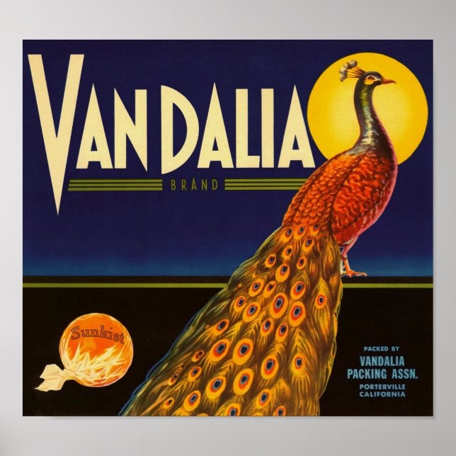 Póster Vandalia Brand Naranjas Porterville California (Frente)