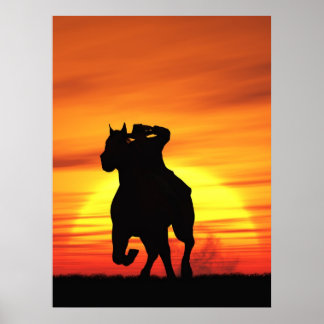 Póster Vaquero