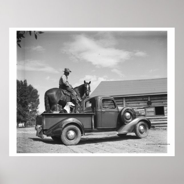 Póster Vaquero con caballo en un camión (Frente)